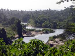 El Tesoro del río Congo