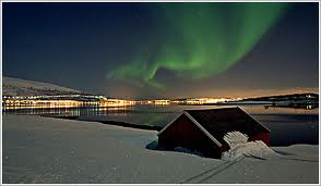 Biodiversidad bacteriana en los océanos